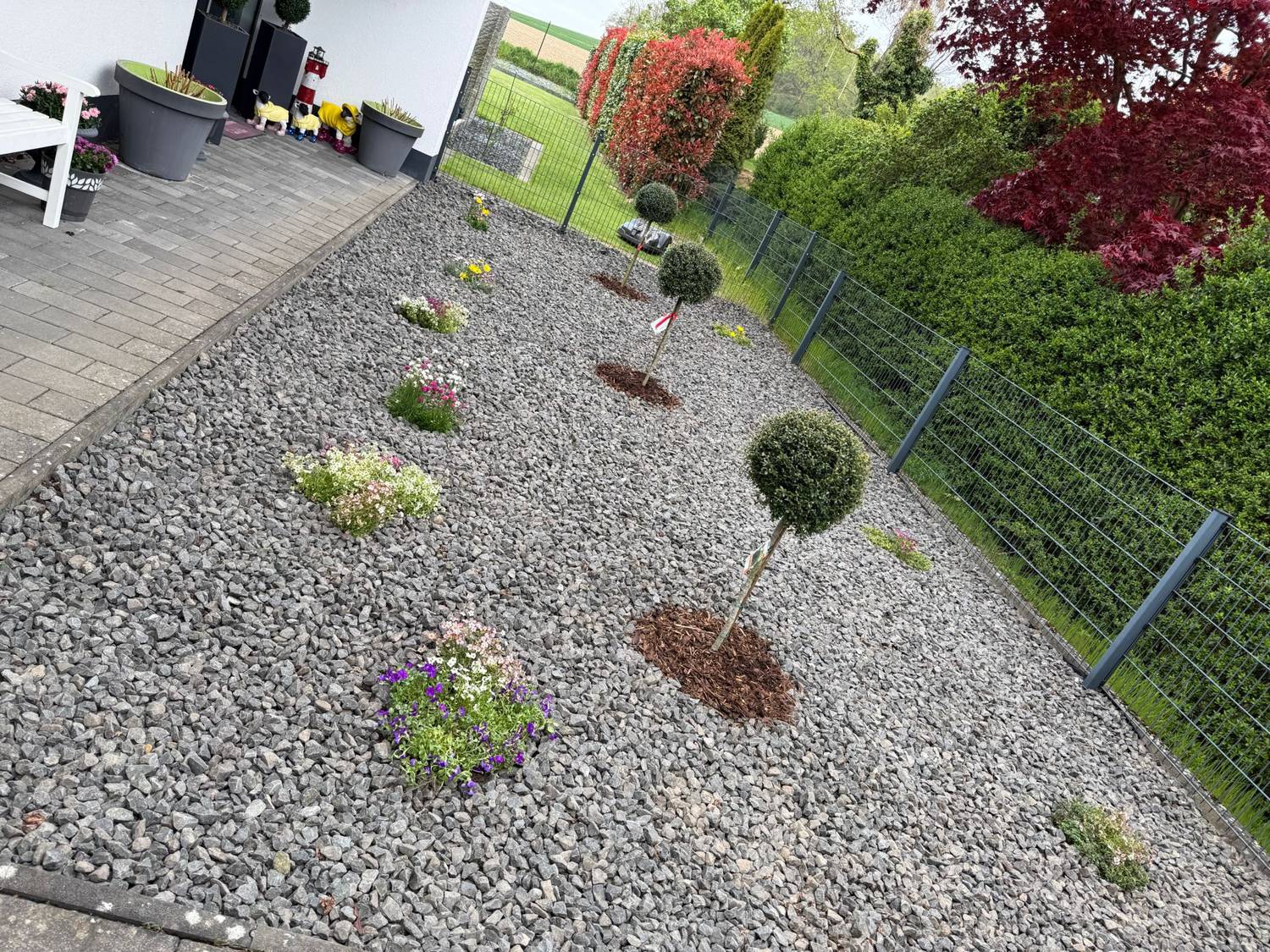 Nachher – gepflegter, aufgeräumter Garten