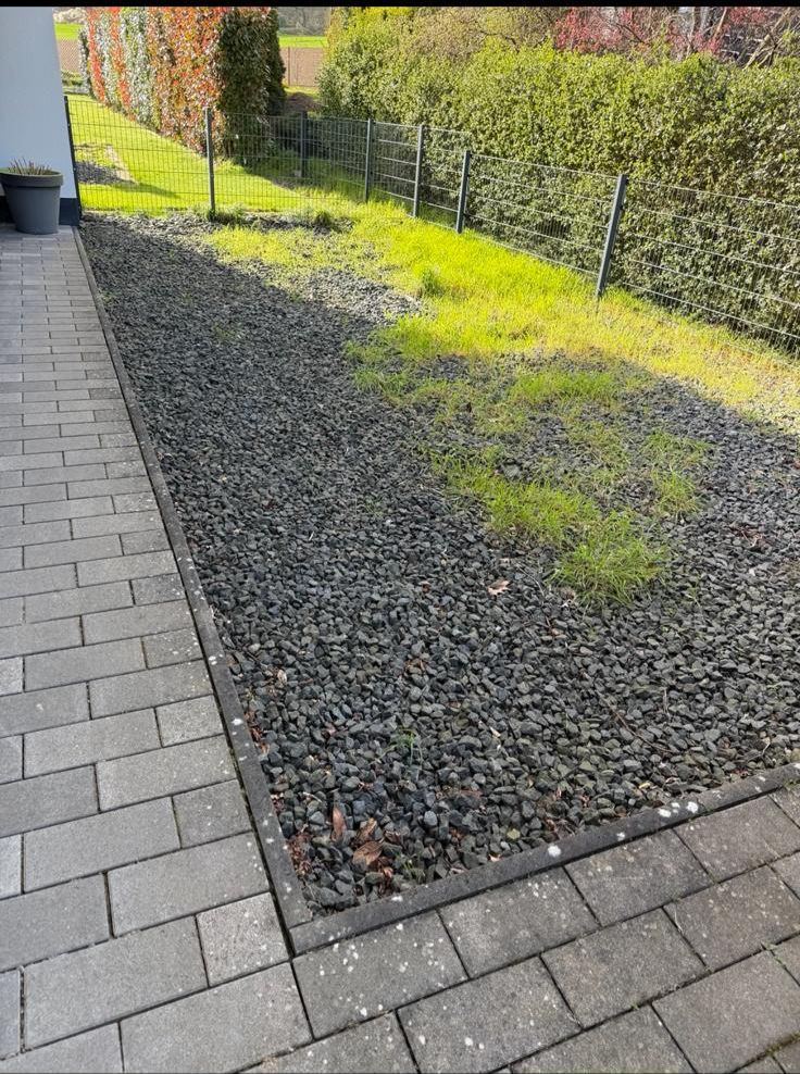 Vorher – ungepflegter, zugewachsener Garten